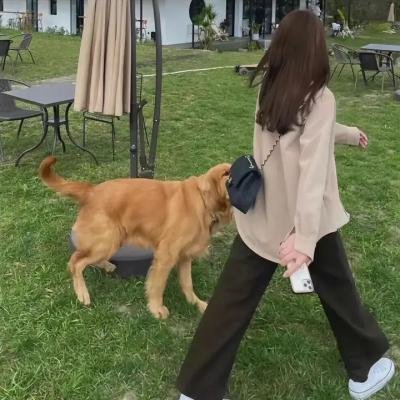 德古拉医生